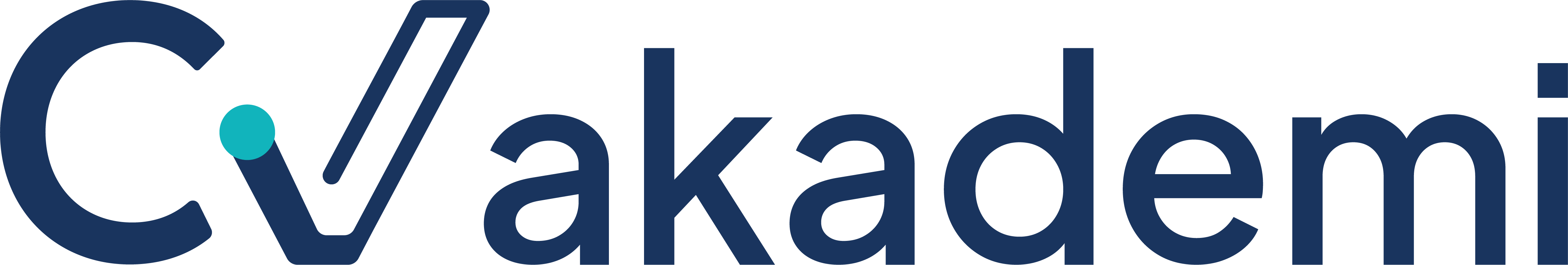 Cv Akademi